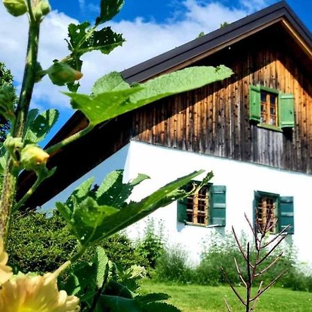 Estate Ana ξενώνας Πτούι Εξωτερικό φωτογραφία